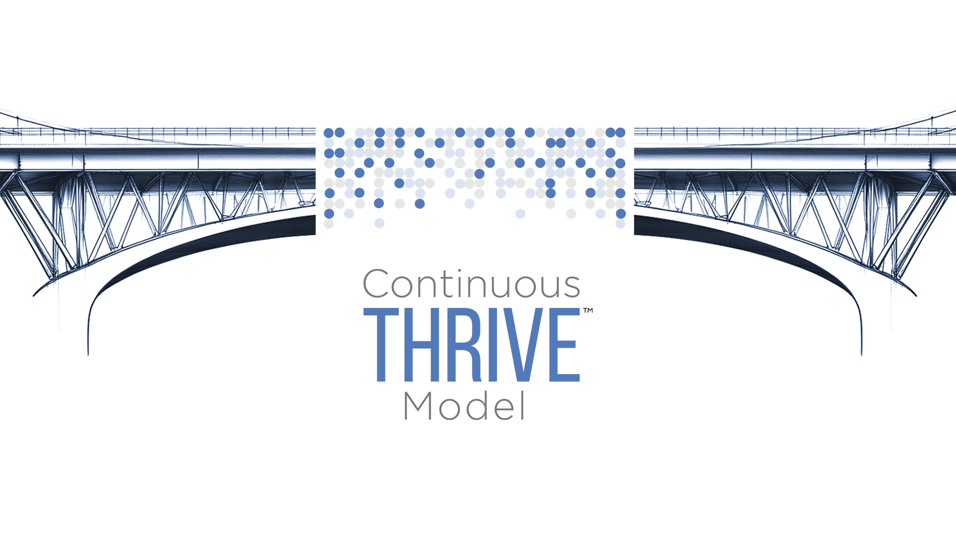 image of bridge that represent the operational gap between strategy and execution, which can be linked with the continuous THRIVE model